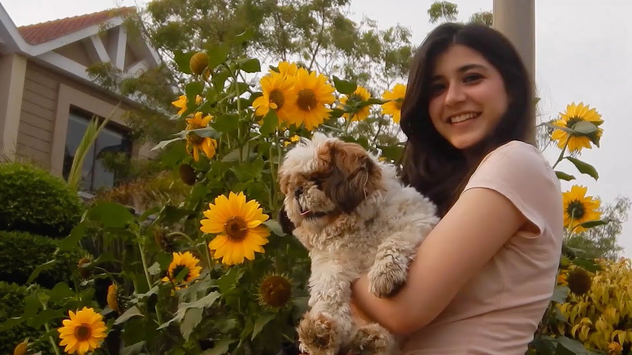 Iraaday Guitar Chords – Abdul Hannan | Easy & Accurate